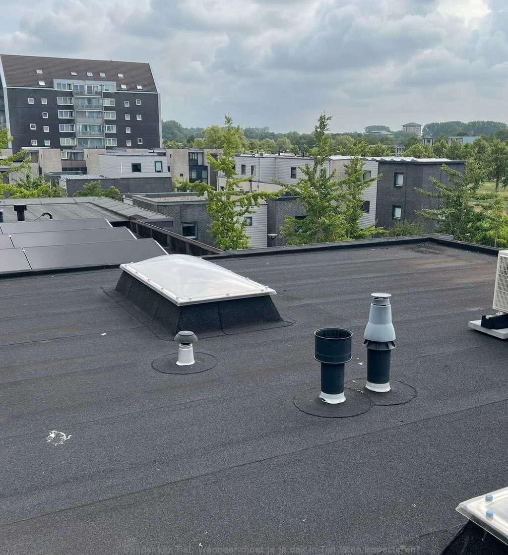 Dak Laten Inspecteren Tiel
