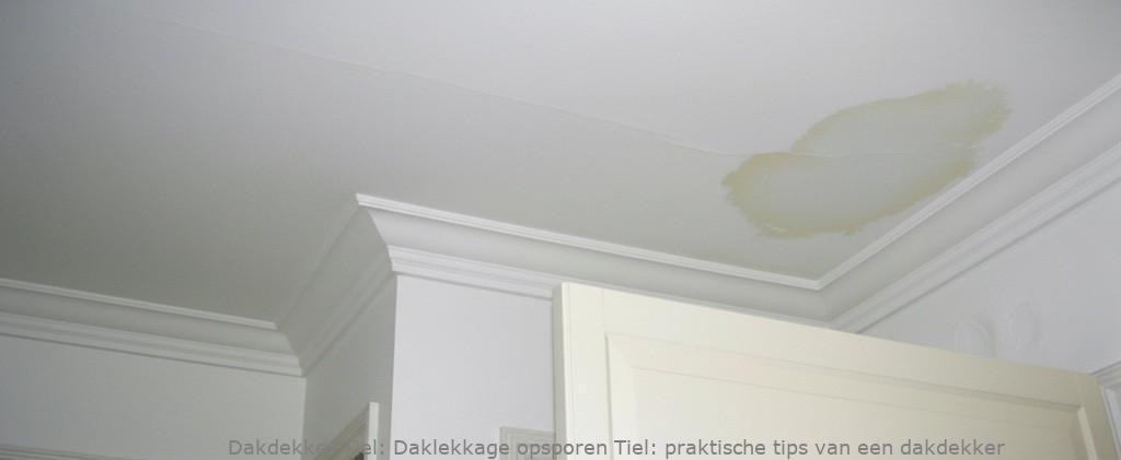 Daklekkage Opsporen Tiel 1