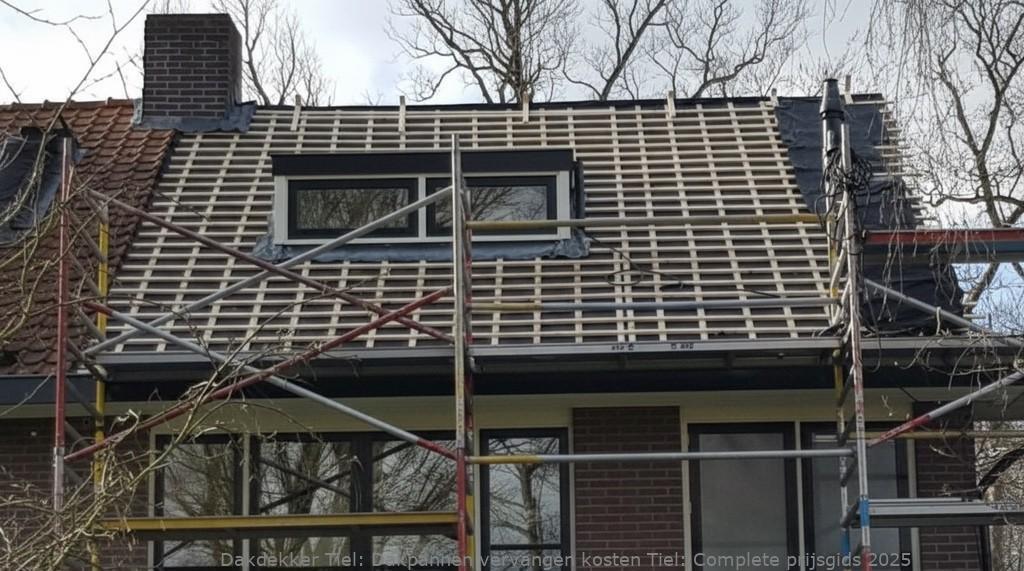 Dakpannen Vervangen Kosten Tiel